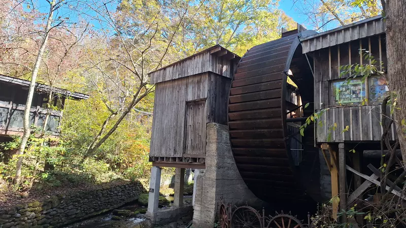 ely's mill roaring fork